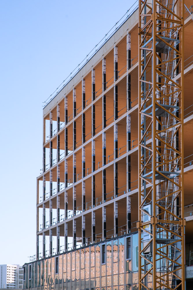 Chantier Bois Arboretum Nanterre