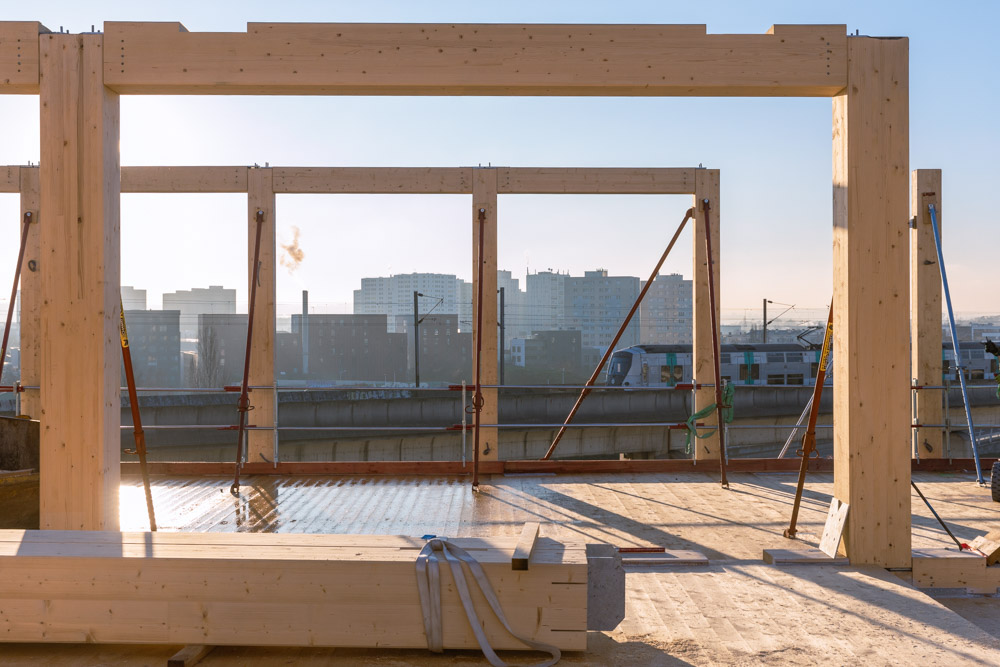 Chantier Bois Arboretum Nanterre