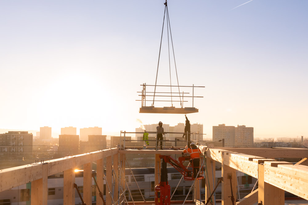 Chantier Bois Arboretum Nanterre