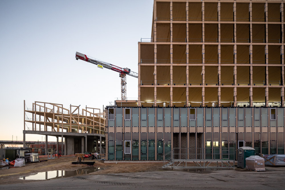 Chantier Bois Arboretum Nanterre